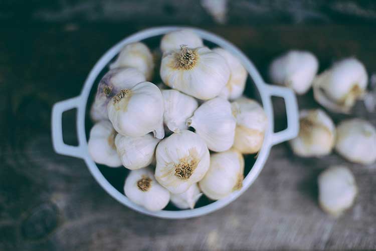 4 Benefits Of Garlic And Honey