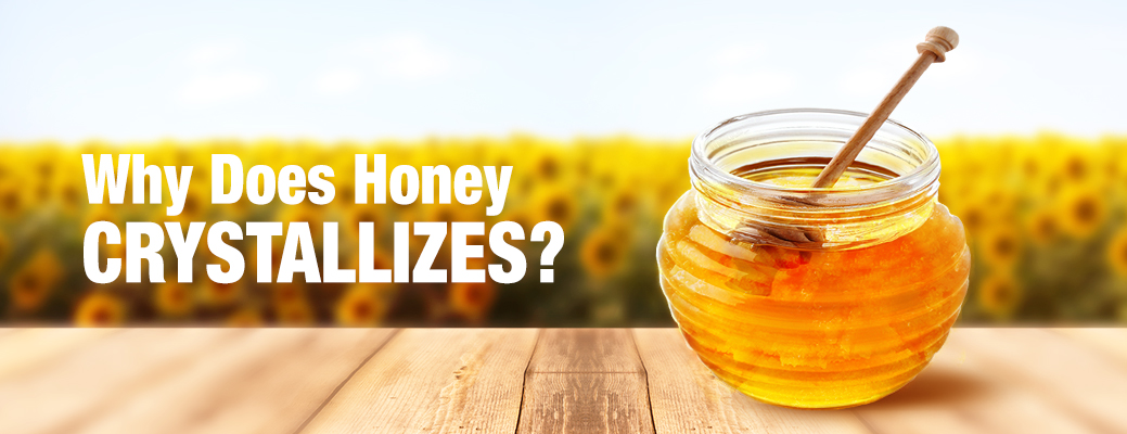 Demystifying Honey Crystallization Process