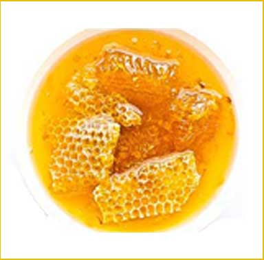 honey used for healing wounds